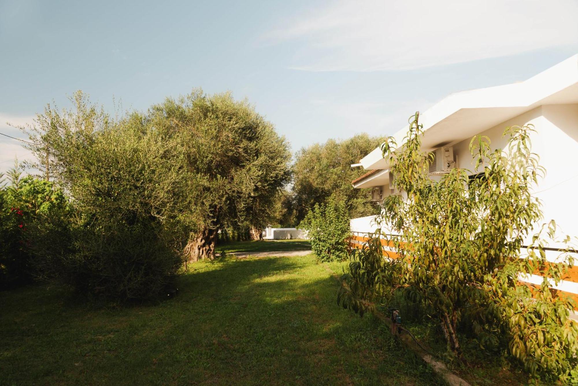 Olive Grove Suites Boutique Hotel Moraḯtika Exterior foto