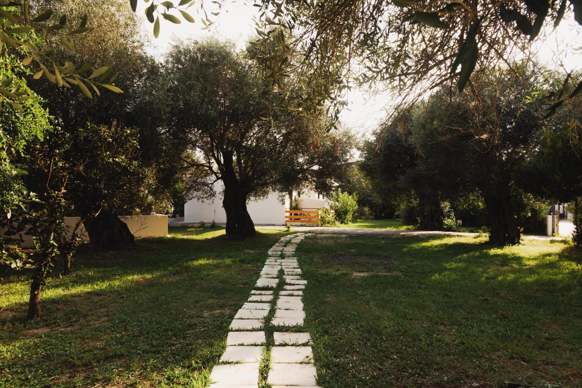 Olive Grove Suites Boutique Hotel Moraḯtika Exterior foto
