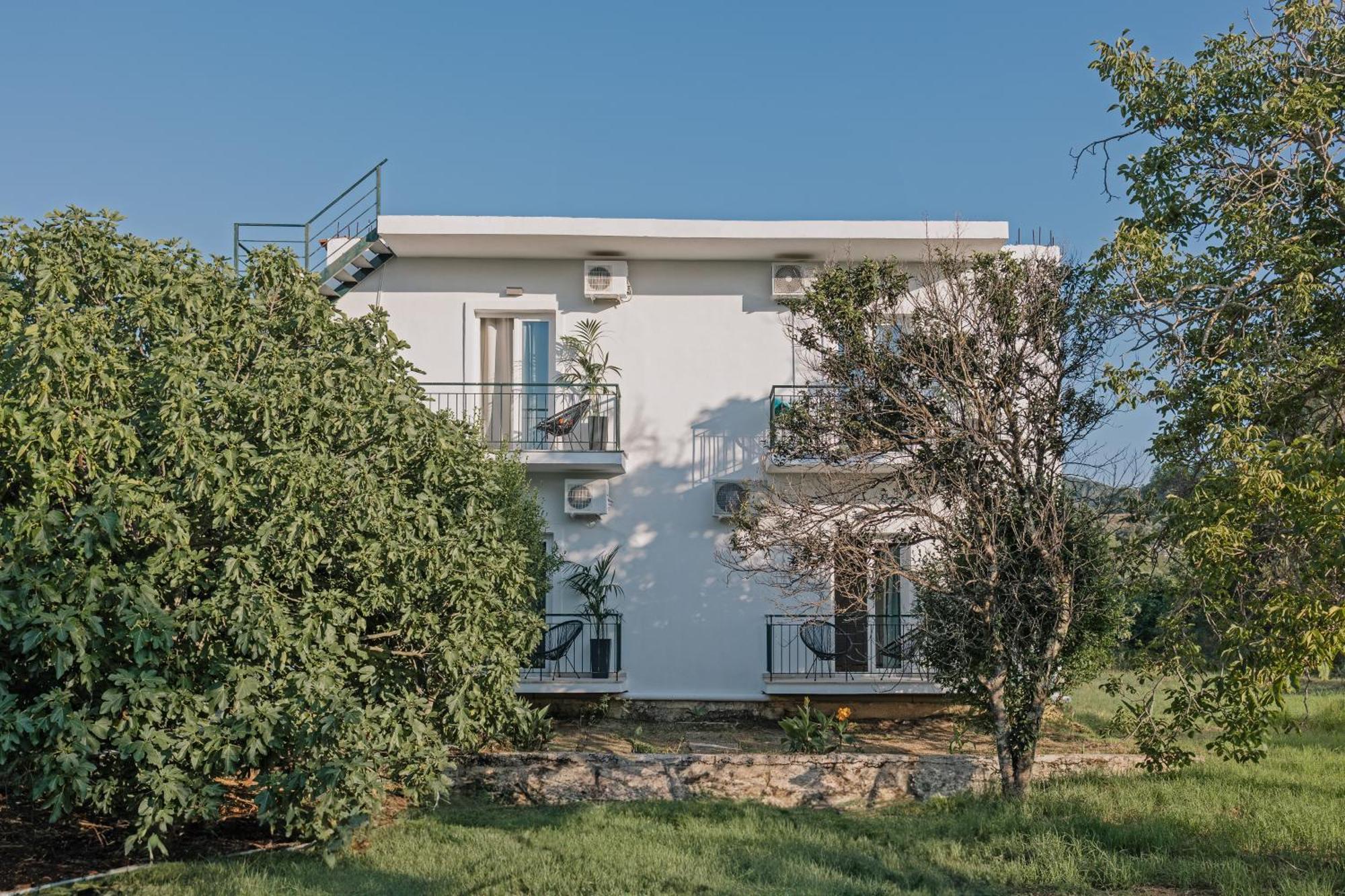 Olive Grove Suites Boutique Hotel Moraḯtika Exterior foto